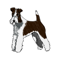 Welsh Terrier Animals Welsh Terrier Animals