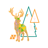 White Tailed Deer Animals