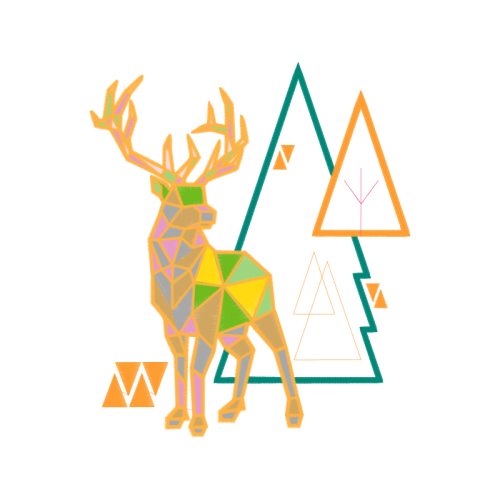 White Tailed Deer Animals White Tailed Deer Animals