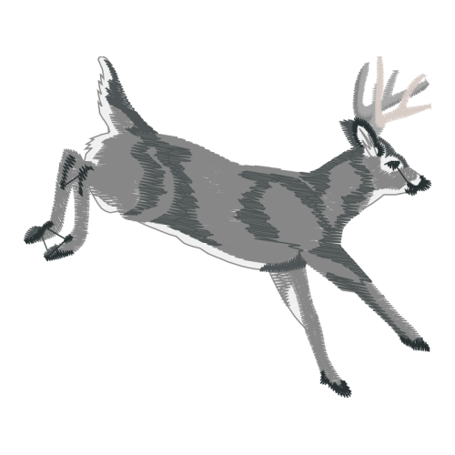 White Tailed Deer Animals White Tailed Deer Animals