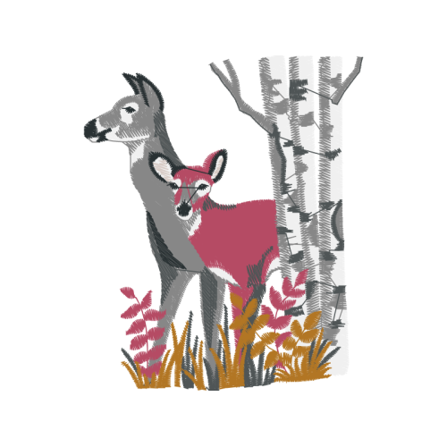 White Tailed Deer Animals White Tailed Deer Animals