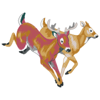White Tailed Deer Animals