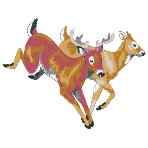 White Tailed Deer Animals White Tailed Deer Animals