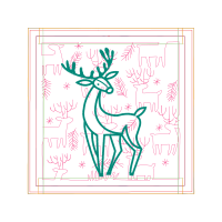 White Tailed Deer Animals White Tailed Deer Animals