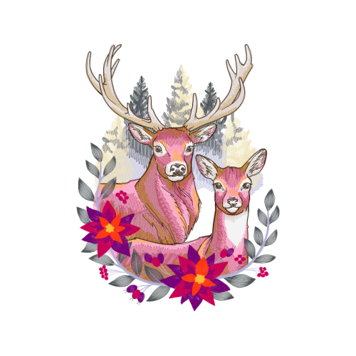 White Tailed Deer Animals White Tailed Deer Animals