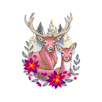 White Tailed Deer Animals White Tailed Deer Animals