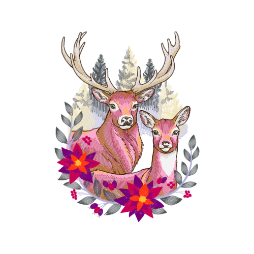 White Tailed Deer Animals White Tailed Deer Animals