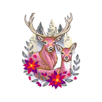 White Tailed Deer Animals White Tailed Deer Animals