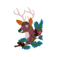 White Tailed Deer Animals White Tailed Deer Animals