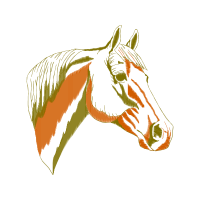 American Quarter Horse Animals