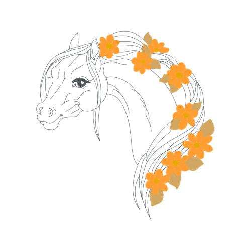 Art Animals Art Animals