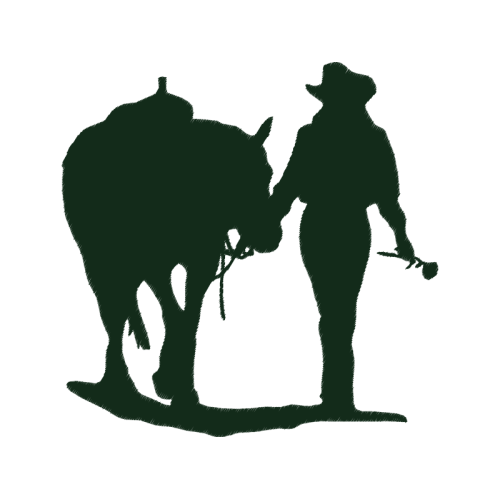 Art Animals Art Animals