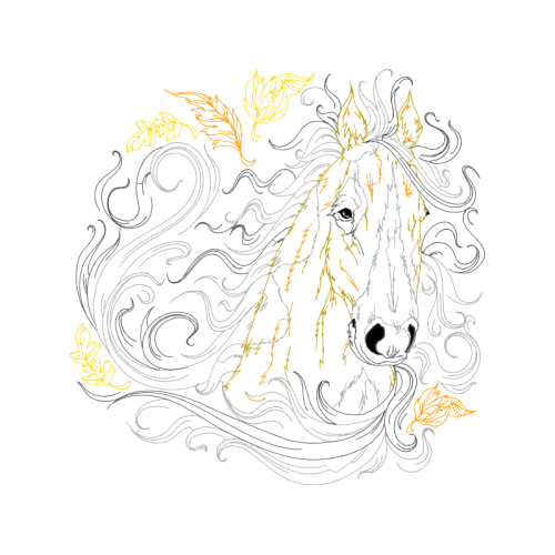 Art Animals Art Animals