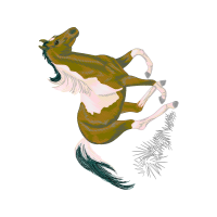 Basenji Animals Basenji Animals