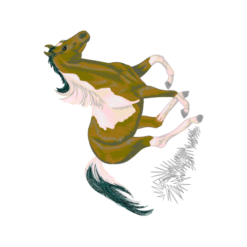 Basenji Animals Basenji Animals