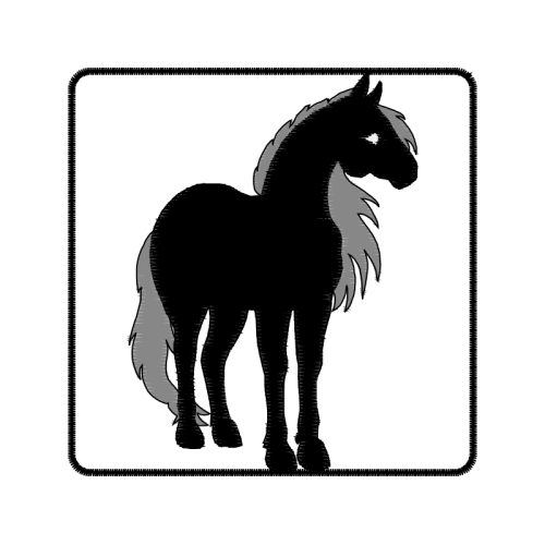 Black Animals Black Animals