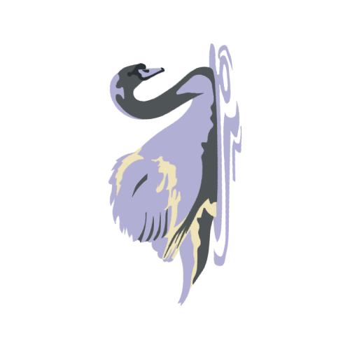 Brown Pelican Animals Brown Pelican Animals