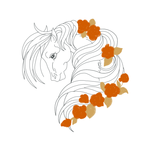 Drawing Animals Drawing Animals