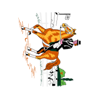 Drawing Animals Drawing Animals