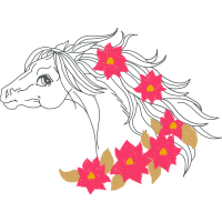 Drawing Animals Drawing Animals