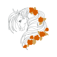 Drawing Animals Drawing Animals