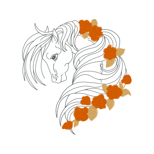 Drawing Animals Drawing Animals