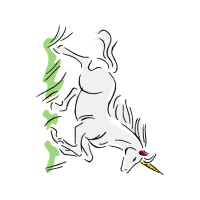 Drawing Animals Drawing Animals