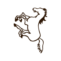 Drawing Animals Drawing Animals