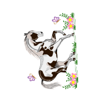 Drawing Animals Drawing Animals