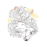 Drawing Animals Drawing Animals