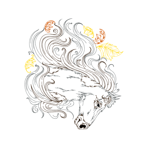 Drawing Animals Drawing Animals