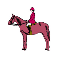 English Pleasure Animals