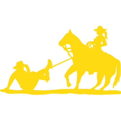 Horse Animals Horse Animals