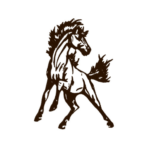 Horse Animals Horse Animals