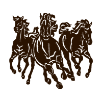 Horse Animals Horse Animals