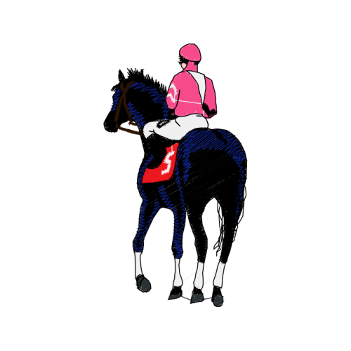 Horse Racing Animals