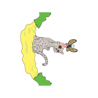 Illustration Animals