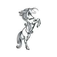 Illustration Animals Illustration Animals