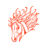 Illustration Animals Illustration Animals