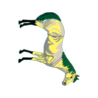 Lined Seahorse Animals