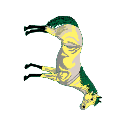 Lined Seahorse Animals Lined Seahorse Animals