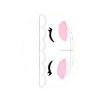 Lined Seahorse Animals Lined Seahorse Animals