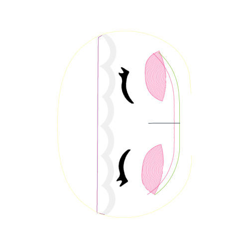 Lined Seahorse Animals Lined Seahorse Animals