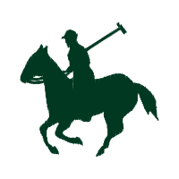 Lion Animals Lion Animals