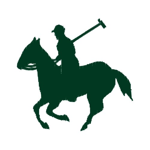 Lion Animals Lion Animals