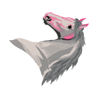 Little Brown Bat Animals Little Brown Bat Animals