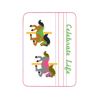 Meter Animals Meter Animals