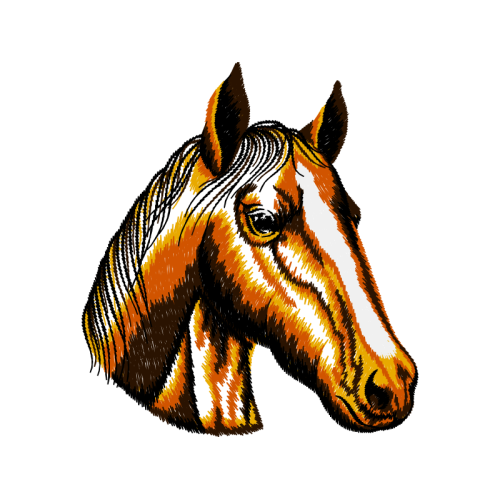 Mustang Animals Mustang Animals