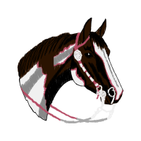 Mustang Animals Mustang Animals