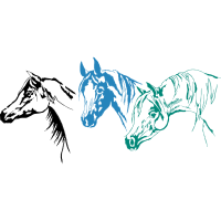 Mustang Animals Mustang Animals